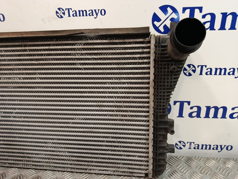 Recambio de radiador agua para volkswagen passat b7 variant (365) 2.0 tdi referencia OEM IAM   