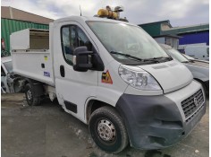 FIAT DUCATO FURGON