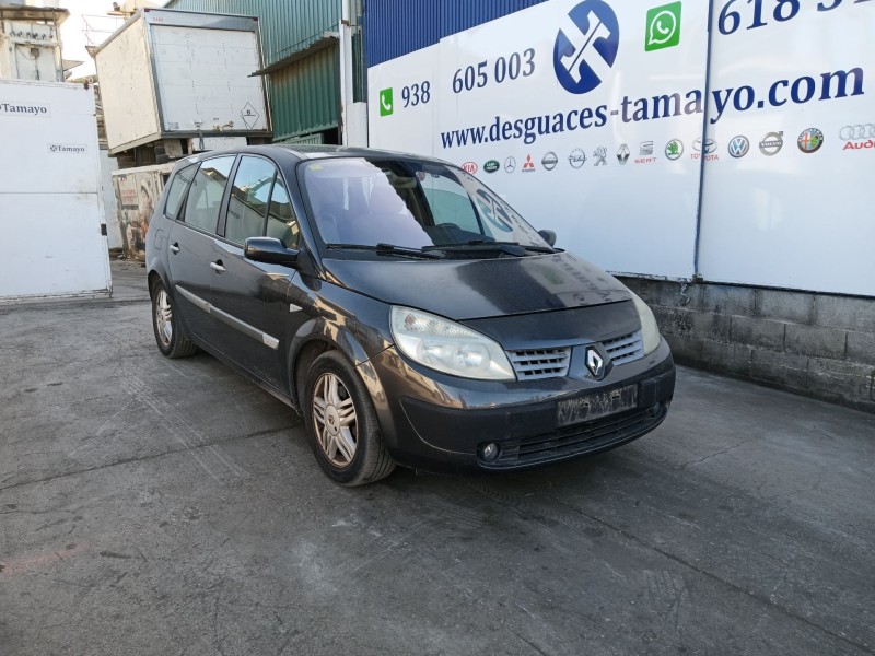 renault grand scénic ii (jm0/1_) del año 2005