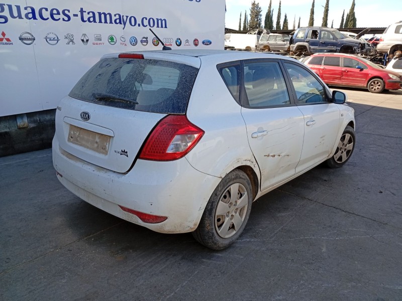 Recambio de amortiguador trasero derecho para kia cee´d hatchback (ed) 1.4 referencia OEM IAM   