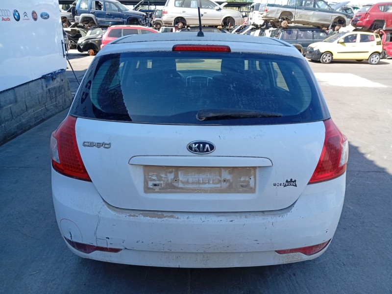 Recambio de porton trasero para kia cee´d hatchback (ed) 1.4 referencia OEM IAM 737001H000  