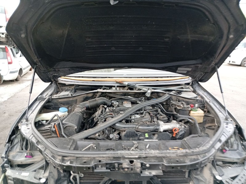 Recambio de amortiguadores capo para audi q7 (4lb) 3.0 tdi quattro referencia OEM IAM   