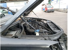 Recambio de amortiguadores capo para audi q7 (4lb) 3.0 tdi quattro referencia OEM IAM    2