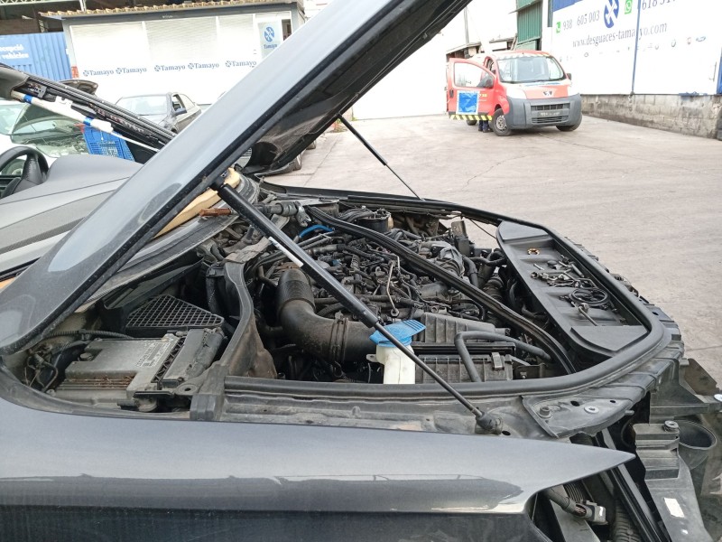 Recambio de amortiguadores capo para audi q7 (4lb) 3.0 tdi quattro referencia OEM IAM   
