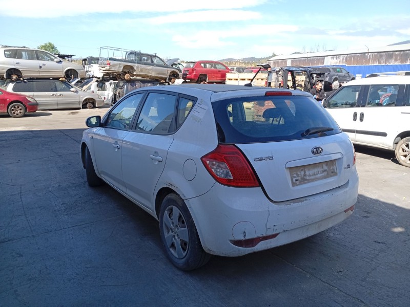 Recambio de barra estabilizadora trasera para kia cee´d hatchback (ed) 1.4 referencia OEM IAM 555101H000SJ  