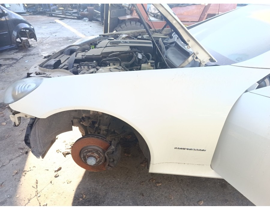Recambio de aleta delantera izquierda para mercedes-benz slk (r171) 200 kompressor (171.445) referencia OEM IAM 1718800306  