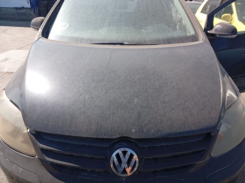 Recambio de capot delantero para volkswagen golf plus v (5m1, 521) 1.9 tdi referencia OEM IAM 5M0823031F  