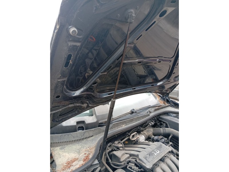 Recambio de amortiguadores capo para volkswagen golf v (1k1) 1.6 referencia OEM IAM GY080700025  