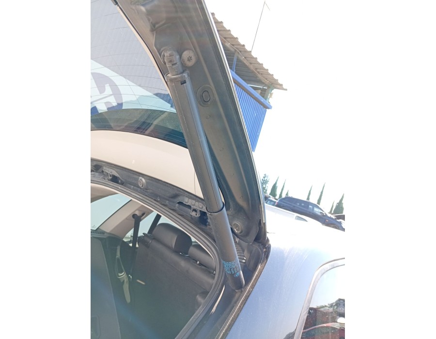 Recambio de amortiguadores maletero / porton para bmw x5 (e70) xdrive 30 d referencia OEM IAM 51247294199  