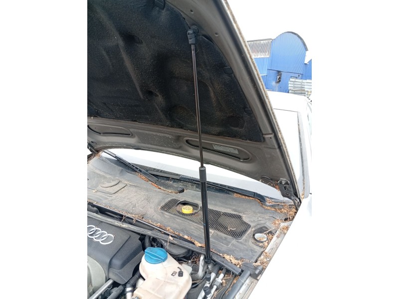 Recambio de amortiguadores capo para audi a6 c6 (4f2) 2.4 referencia OEM IAM 4F5827552A  