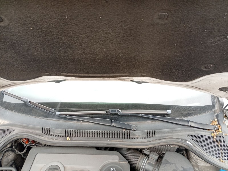 Recambio de motor limpia delantero para seat ibiza iv (6j5, 6p1) 1.6 tdi referencia OEM IAM 6R1955023C  