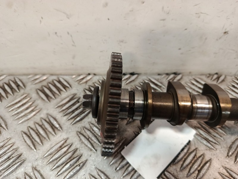 Recambio de arbol de levas para nissan qashqai i (j10, nj10) 2.0 referencia OEM IAM MR20DE  