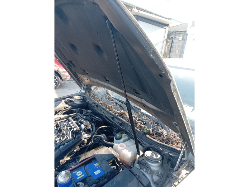 Recambio de amortiguadores capo para opel insignia a (g09) 2.0 cdti (68) referencia OEM IAM 13252173  