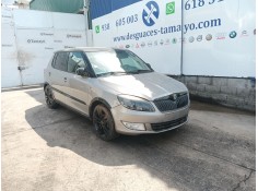 SKODA FABIA II (542)