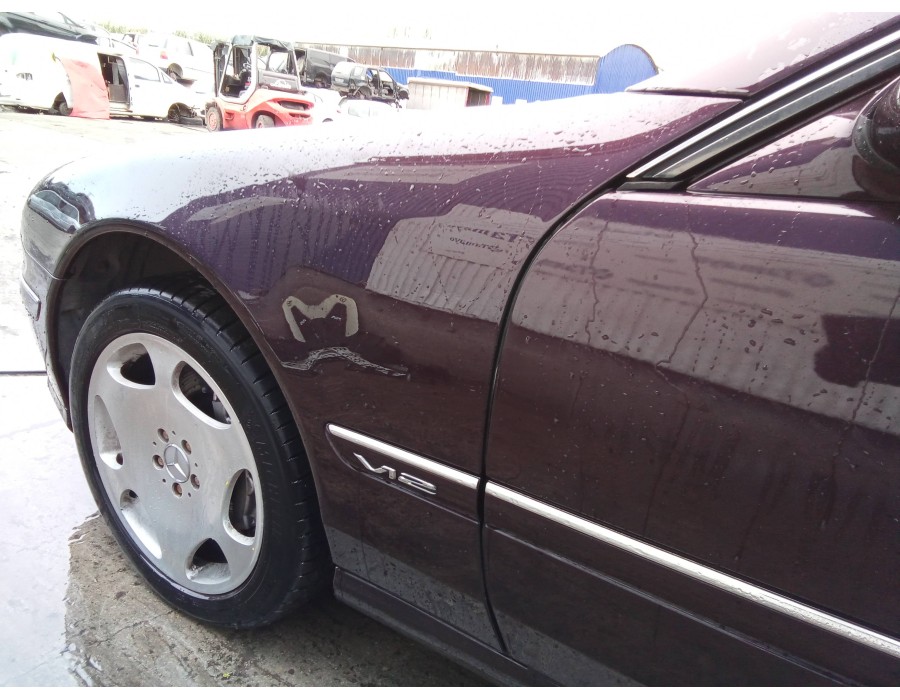Recambio de aleta delantera izquierda para mercedes-benz clase s coupé (c215) cl 600 (215.376) referencia OEM IAM   