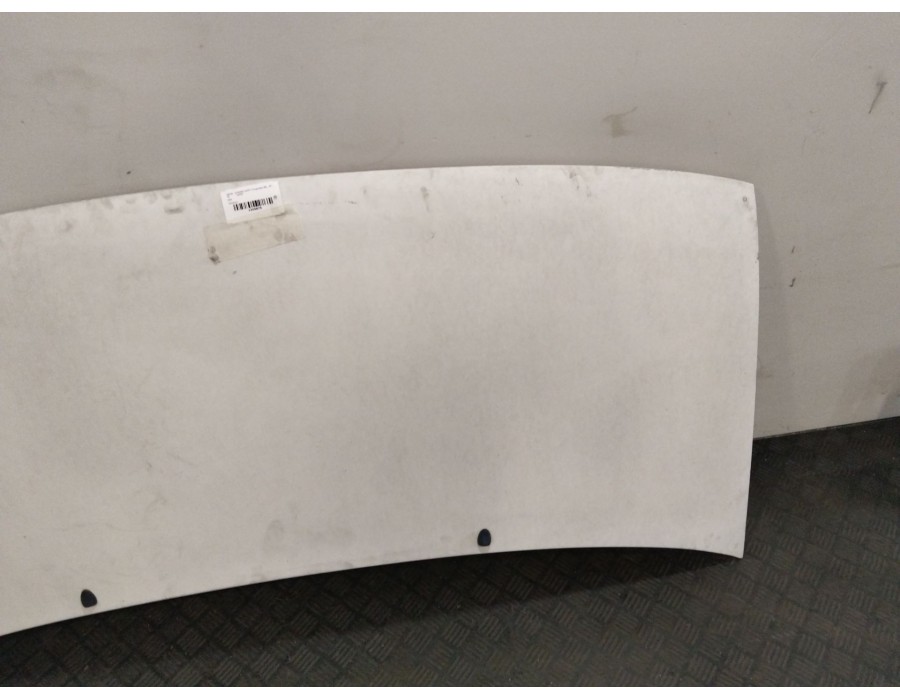 Recambio de capot para citroën jumpy i furgoneta (bs_, bt_, by_, bz_) 2.0 hdi 95 referencia OEM IAM   