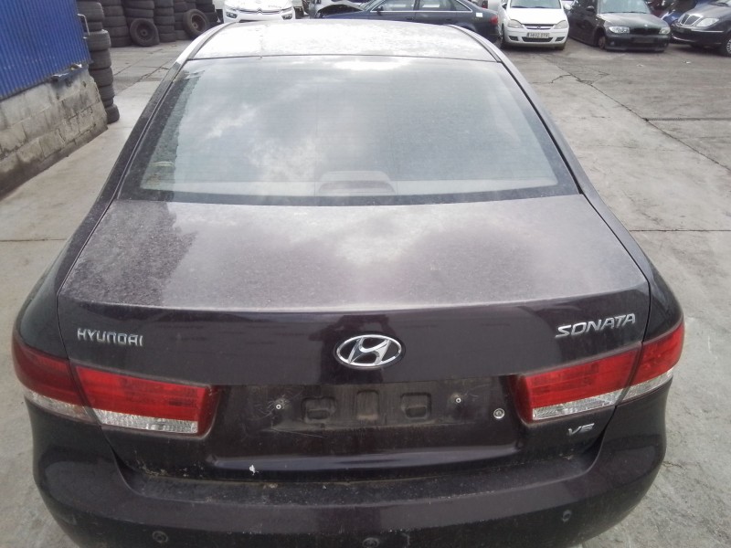 Recambio de porton trasero para hyundai sonata (nf) referencia OEM IAM 692003K021  
