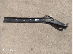 Recambio de moldura exterior delantera derecha para renault scenic iii 1.5 dci diesel referencia OEM IAM    2