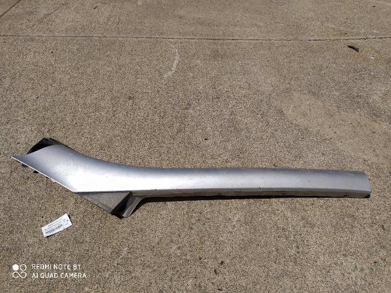Recambio de moldura exterior delantera izquierda para renault scenic iii 1.5 dci diesel referencia OEM IAM   