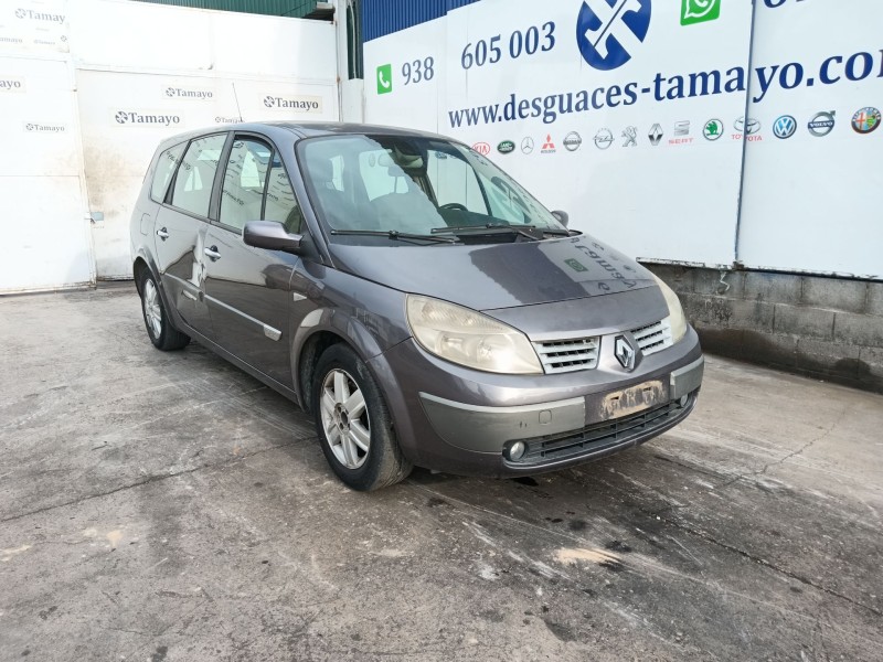 renault grand scénic ii (jm0/1_) del año 2004