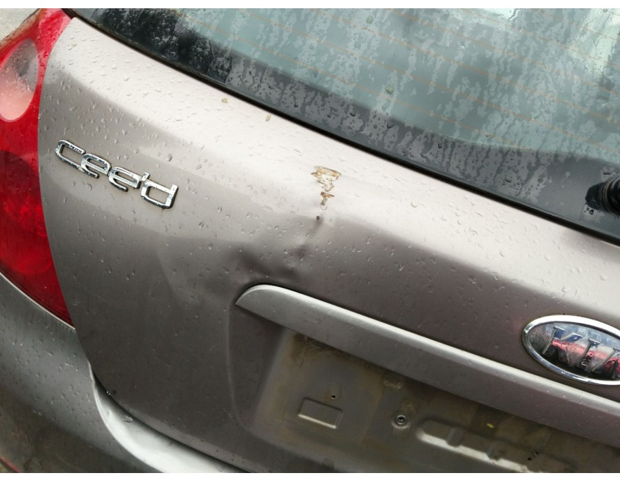 Recambio de porton trasero para kia cee´d hatchback (ed) 1.6 crdi 115 referencia OEM IAM 737001H000  