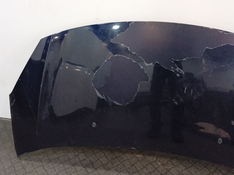 Recambio de capot para citroën c3 ii (sc_) 1.6 hdi referencia OEM IAM 7901R1  