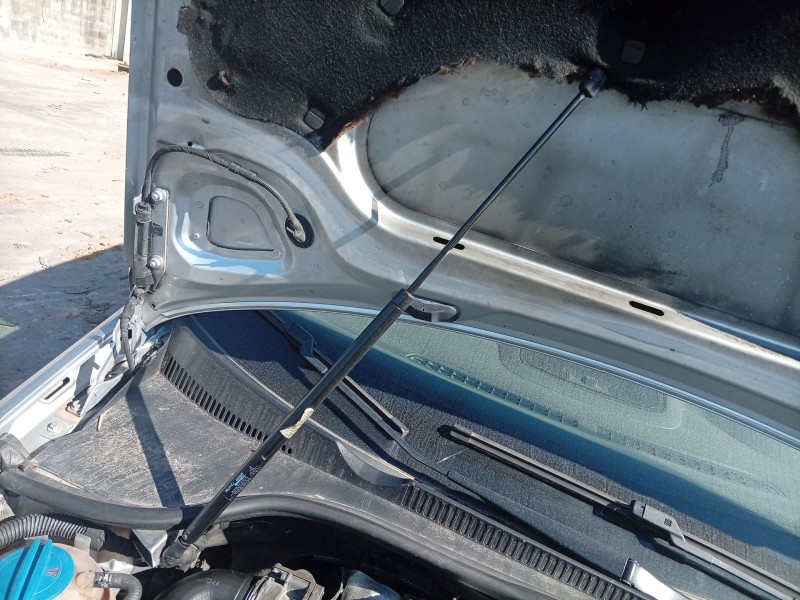 Recambio de amortiguadores capo para volkswagen golf v (1k1) 1.9 tdi referencia OEM IAM 7702144629  