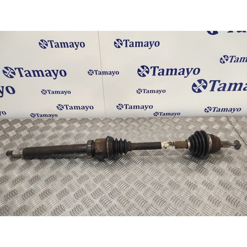 Recambio de transmision delantera derecha para ford focus berlina (cap) 1.6 16v cat referencia OEM IAM 3M513B436BAD  