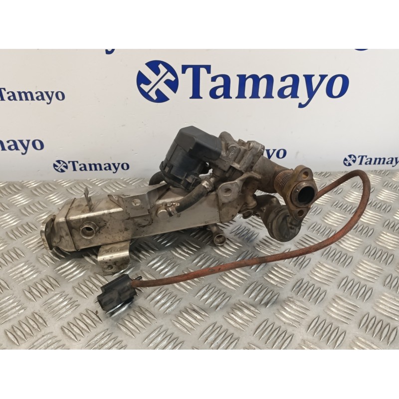 Recambio de enfriador egr para bmw serie 3 berlina (e90) 3.0 cat (n52) referencia OEM IAM 781075106  