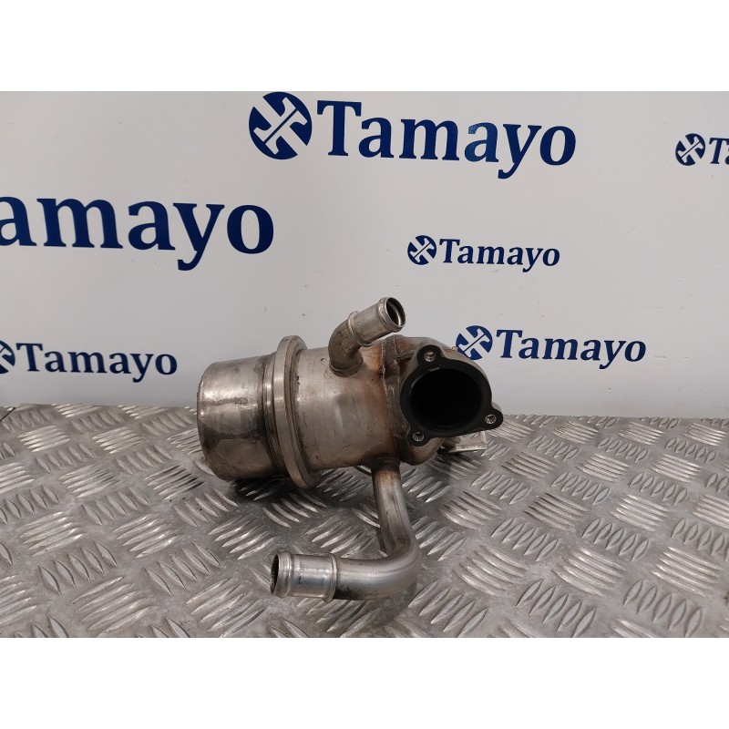 Recambio de enfriador egr para volkswagen passat variant (3g5) 1.6 tdi dpf referencia OEM IAM 04L131512  144771